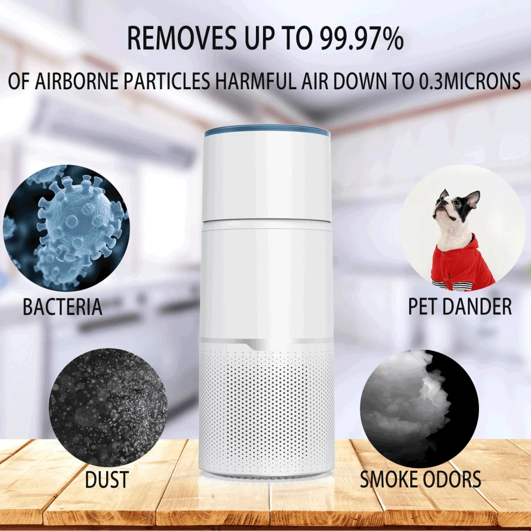 Low Noise Desktop Car Air Purifier with Light