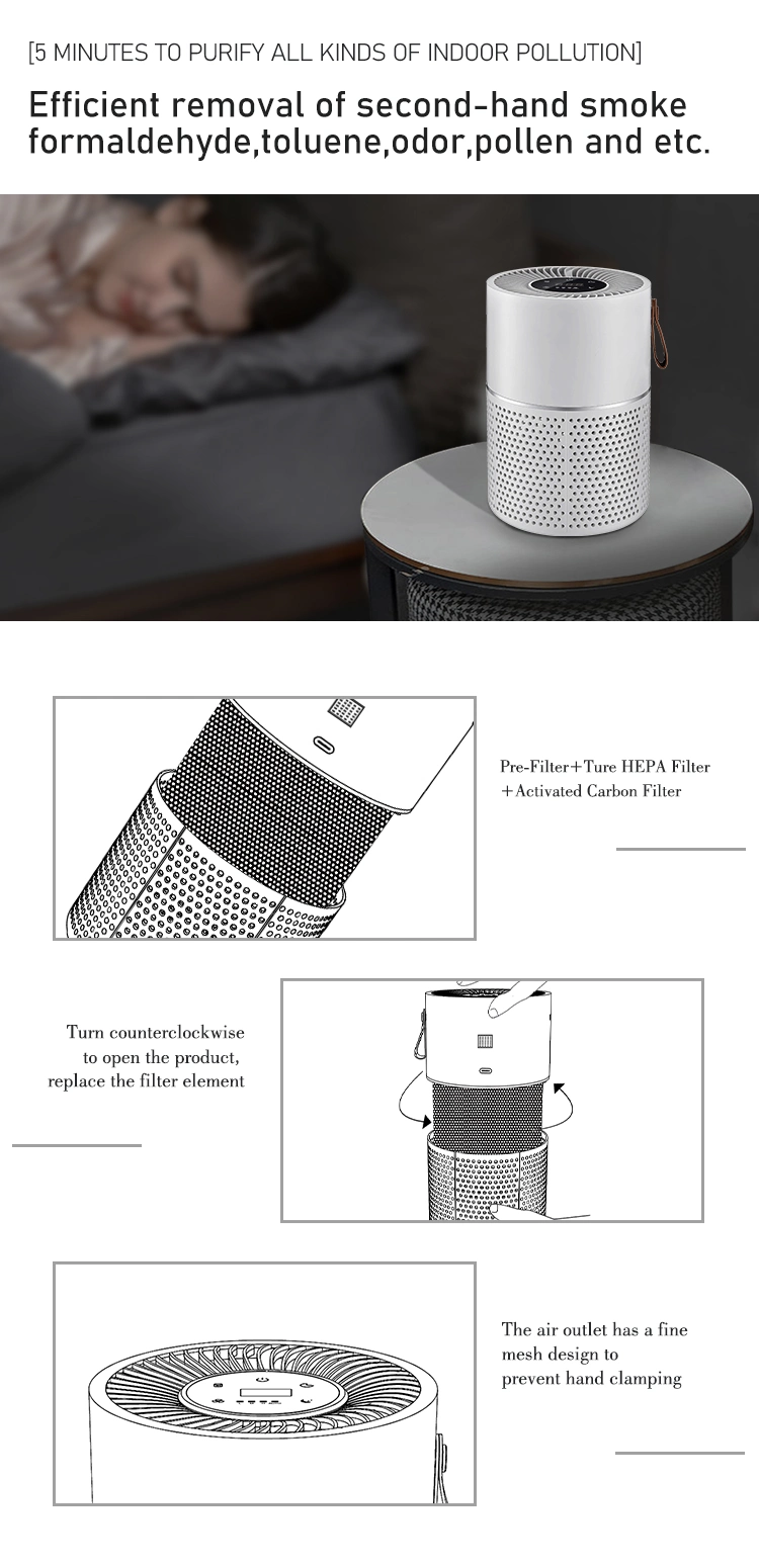 Ion Air Purifiers with Ozone H13 Carbon Filter Air Purifier Home Office Use Air Cleaner