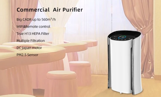 Grand filtre HEPA commercial High Cadr purificateur d'air WiFi APP et télécommande