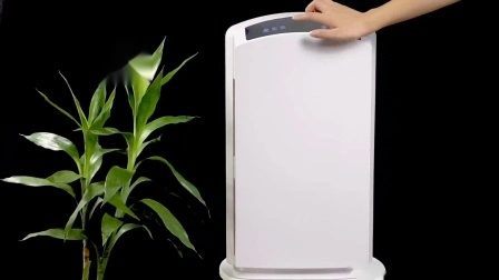 Purificateur d'air à ionisation pour bureau personnel commercial